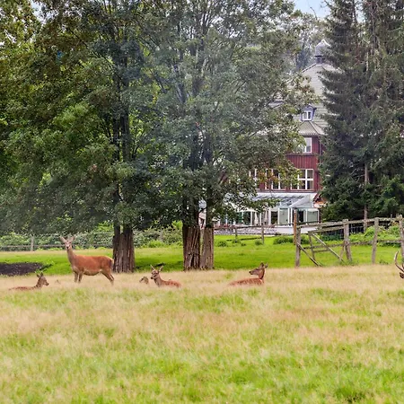 Amazing In Oberharz With Kitchen