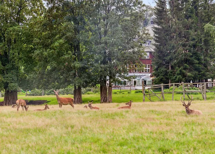 Amazing In Oberharz With Kitchen