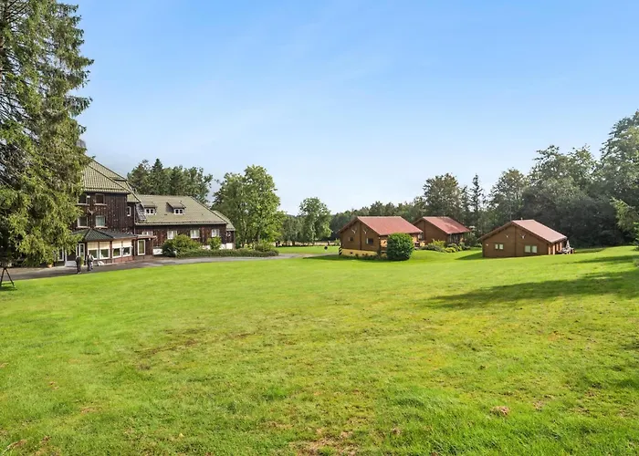 Amazing In Oberharz With Kitchen Dom wakacyjny Benneckenstein